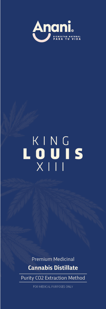 King Louis XIII