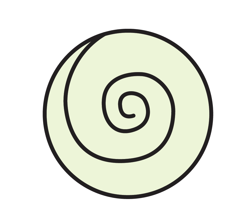 mora_pattern2